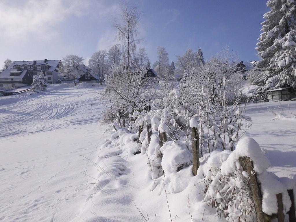 Apartment In Langewiese Sauerland With Garden Вінтерберг Екстер'єр фото
